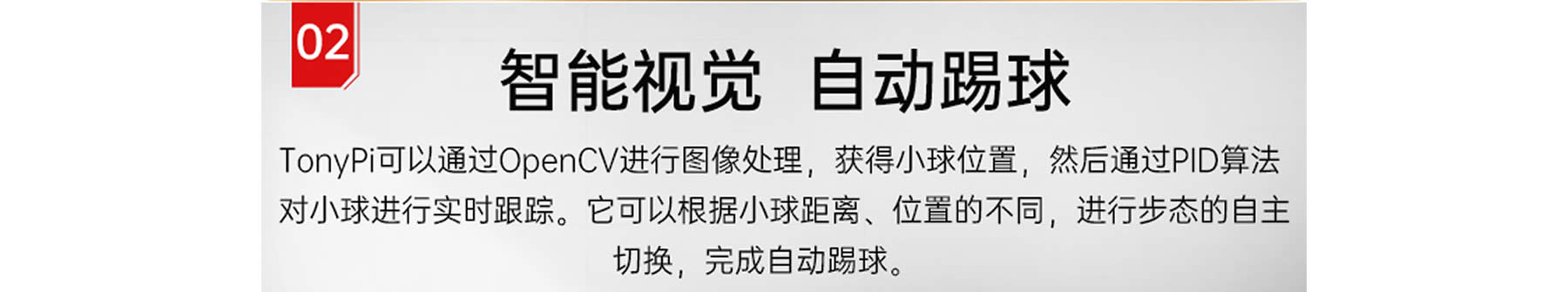 TonyPi 智能視覺人形機(jī)器人